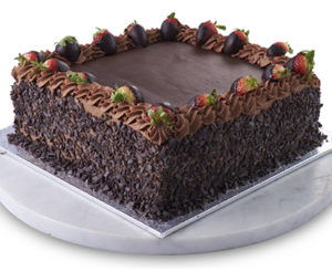 Chocolate Decorated Sponge Cake Sydney