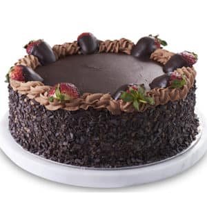 Chocolate Decorated Sponge Cake Sydney