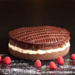 Iced Chocolate Sponge Cake - Image 2