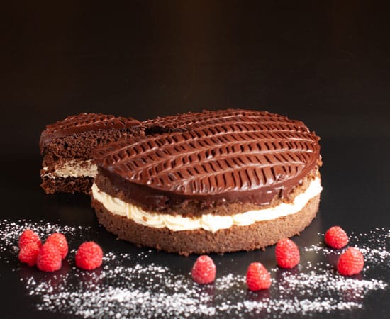 Iced Chocolate Sponge Cake